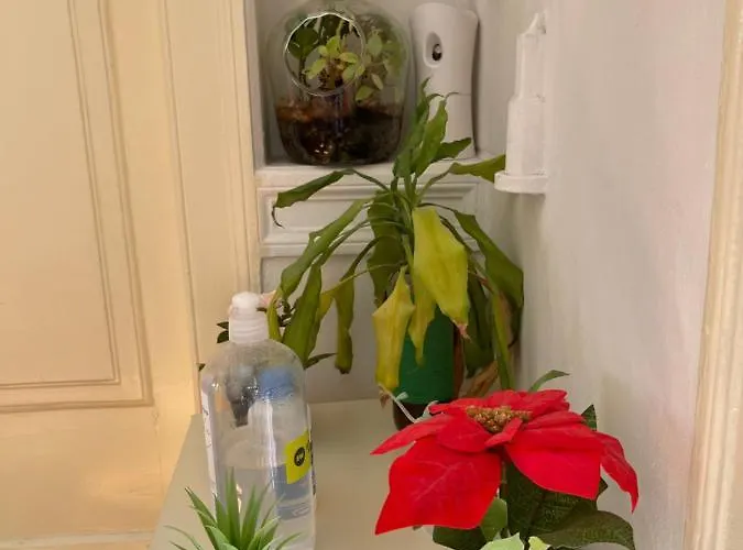 Casa de hóspedes Alfama